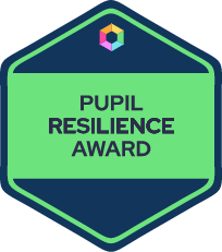 Pupil Resilience Award