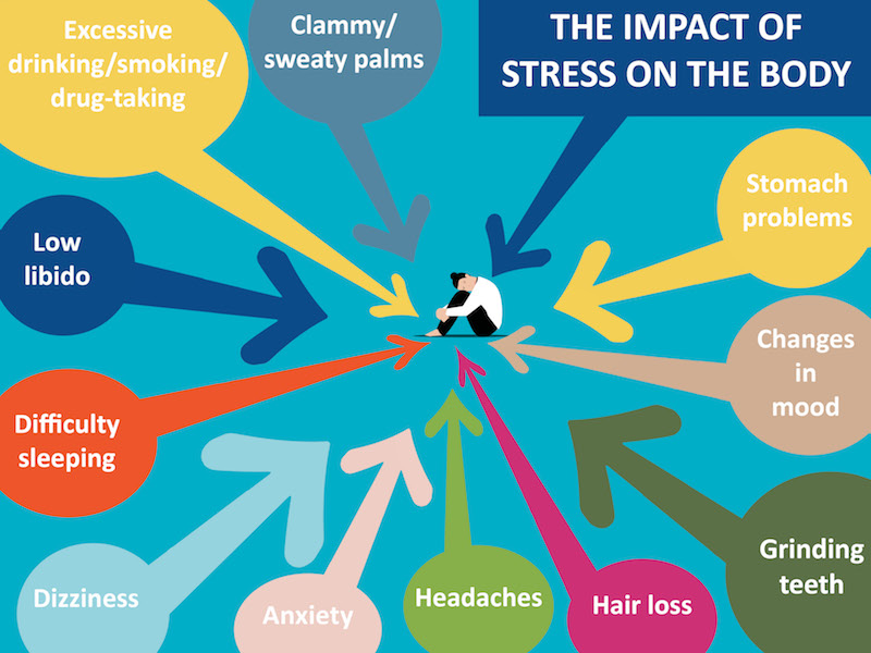 Diagram explaining the physical symptoms of the impact of stress, which include: mood changes, clammy/sweaty palms, low libido, diarrohoea, sleeping difficulties, stomach problems, dizziness, anxiety, grinding teeth, headaches, hair loss and excessive drinking/smoking/drug-taking.