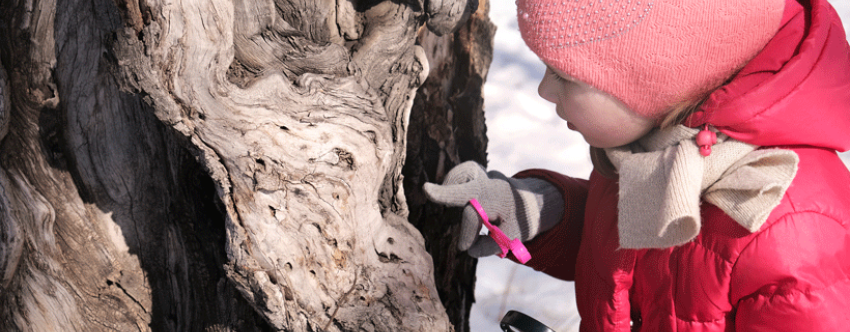 Little girl dressed in warm clothes, closely inspecting a tree in winter